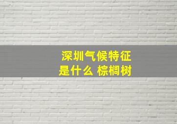 深圳气候特征是什么 棕榈树